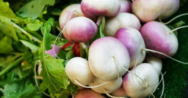 Японски учени установиха че ряпата може да бъде особено полезно