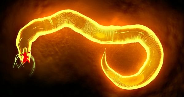 Нематодите са активно движещи се свободно живеещи или паразитни червеи