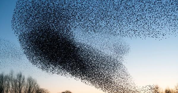 Миналата седмица охранителни камери в Мекиско заснеха нещо наистина тревожно