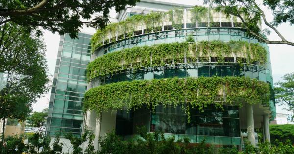 В началото на тази година можеше да се погледне към