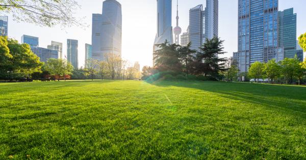 Тази статия има за цел да запознае читателите за понятията