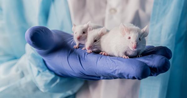 Учени създадоха хибридна мишка с ген който предхожда целия животински