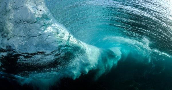 Учени от Австралия установиха връзка между глобалното затопляне и промените в