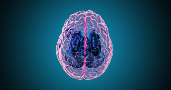 Мозъкът е главният и най сложно устроен орган на нашата централна
