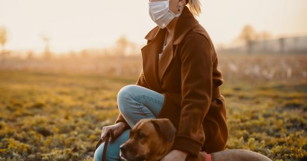 Сигурна и ефикасна ваксина ще е единственото средство което би