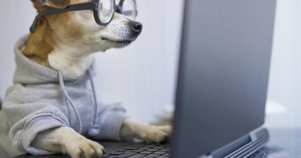 Съществуват редица широко разпространени схващания за интелигентните хора не са