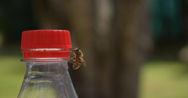 В средата на май жителка на Сао Пауло засне едно