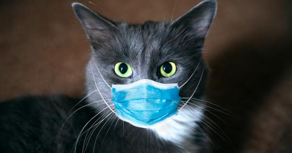 Ветеринарният факултет към университета в Лиеж потвърди случай на котка с