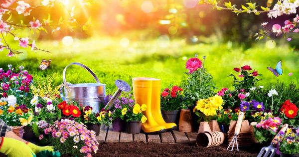 Климатека и Споделена градинка в село Герман организират безплатна работилница