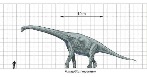 Някога Патагония е била дом на най големите животни бродели някога