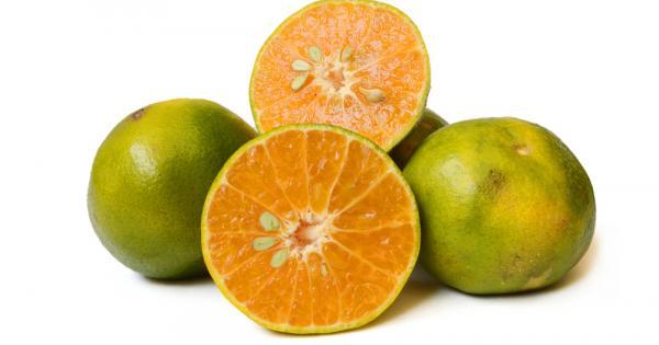 В естествената си зряла форма в топлите страни в които