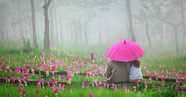 Вечеря изненада на свещи разкошен букет или собственоръчно написано любовно писмо