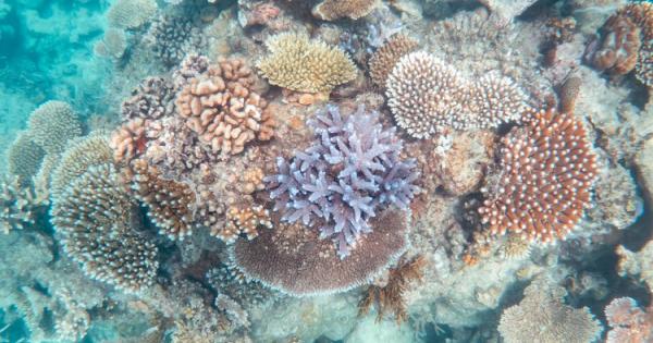 От средата на 90 те години на миналия век сме изгубили