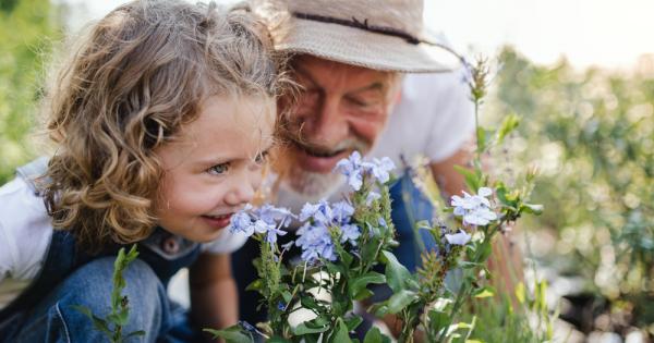 Прегледите за слух и зрение при възрастните хора вече са