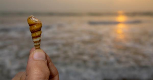 В българския език е широко застъпена употребата на умалителни съществителни