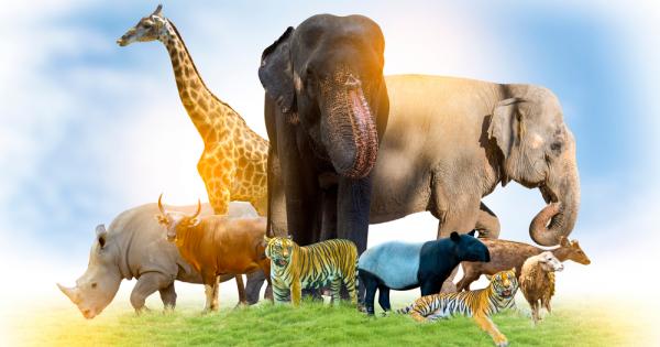 Еволюцията не познава граници За да оцелеят животните са развили