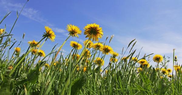 Април 2024 г чупи глобалните температурни рекорди за 11 ти пореден