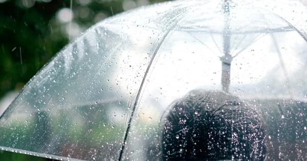 Често в живота си реагираме несъзнателно и се чудим защо