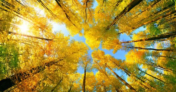 Амбициозно и първо по рода си начинание се опитва да