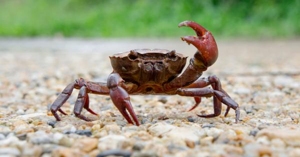 Специалисти от Центъра за иновации в областта на материалите към