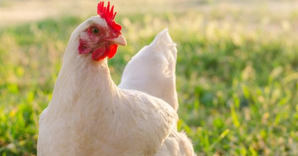 Зачервяването на лицето от ярост може да изглежда като уникална