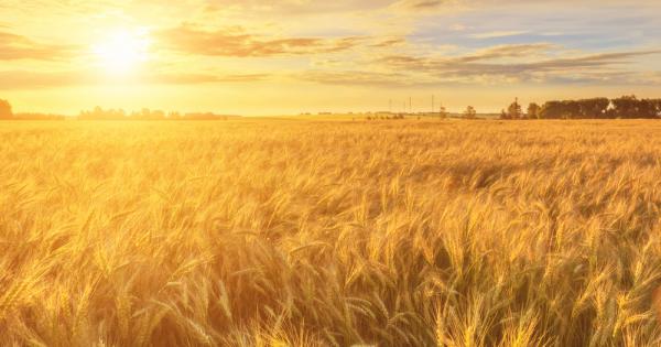 Още от най дълбока древност много преди инструменталното измерване на температурата