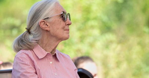 Шхуна отплава от южния бряг на Англия за да обучи