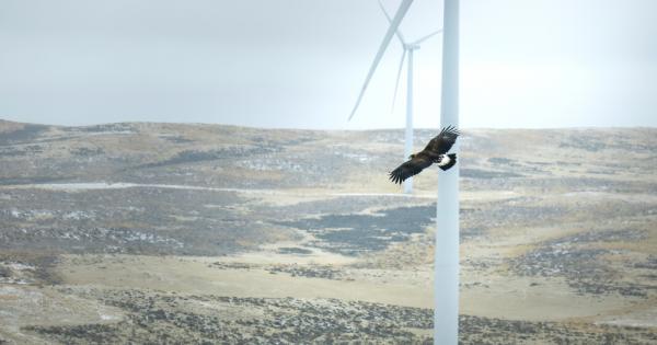 Днес възобновяемите енергийни източници са най евтиният източник на енергия на