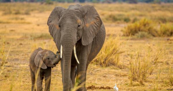 Определени навици като пушенето или злоупотребяването с различни субстанции както