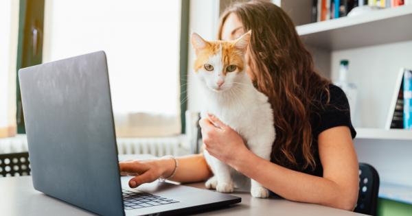 Отдавна не е тайна че присъствието на домашни любимци се