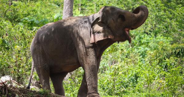 На всички ни се е случвало Някой се прозее в