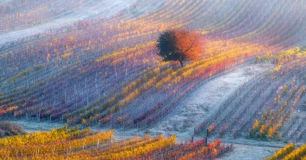 Моравия е една приказна област която се намира в Чехия Известна