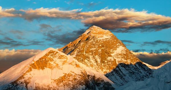 От 1953 та до януари тази година само 6664 души са