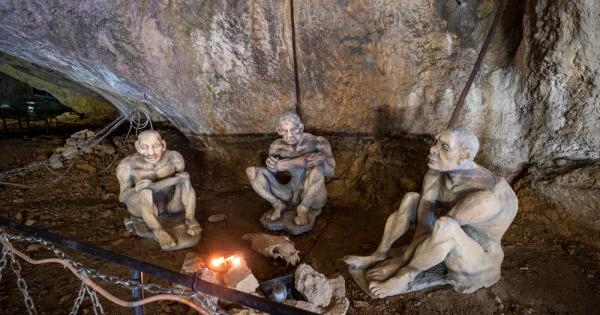 Миналата година генетичен анализ на костни фрагменти представляващи най ранното известно