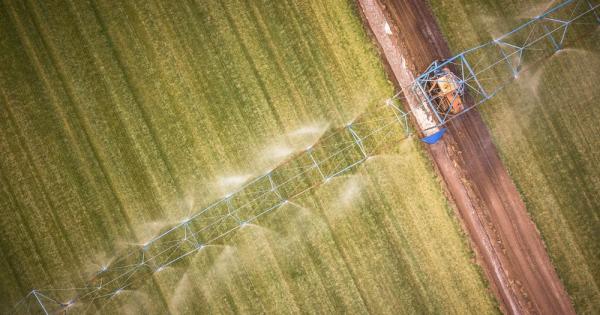 Дъбови и борови гори житни полета простиращи се до хоризонта