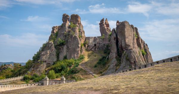Илон Мъск най богатият човек на планетата направи реклама на Белоградчик