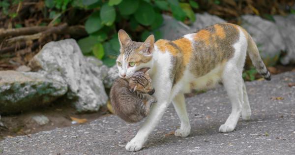 Наскоро снимки направени в болница в Истанбул превзеха социалните мрежи