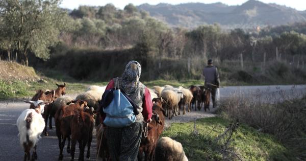 Едно семейство в Турция ходи по начин който се отличава
