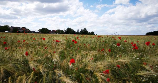 През месец юни 2023 г по голямата част от земното кълбо