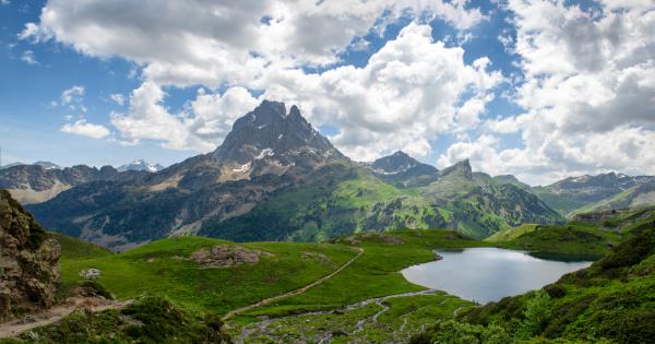 Виелица от жълти и бели пеперуди като буря от венчелистчета