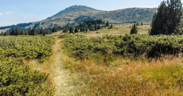 Български туристически съюз чрез Туристическо дружество Боерица и Университетски