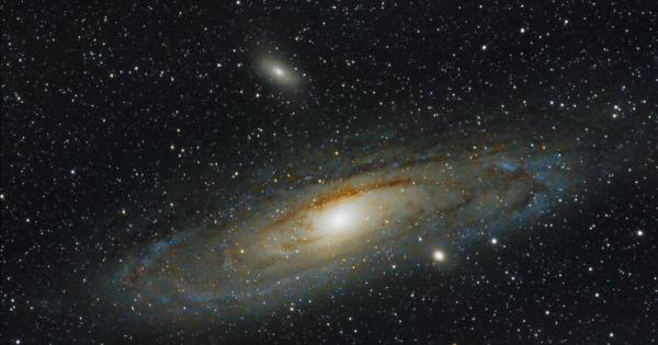 Това са своенравните и избухливи тирани които стимулират еволюцията на