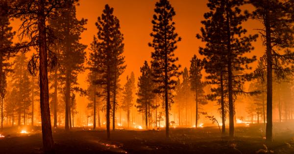 Горските пожари повишават риска от редица онкологични заболявания Това гласи