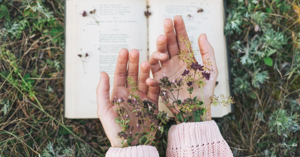 Ако имате късмет ще останете сами Съвсем самички – до