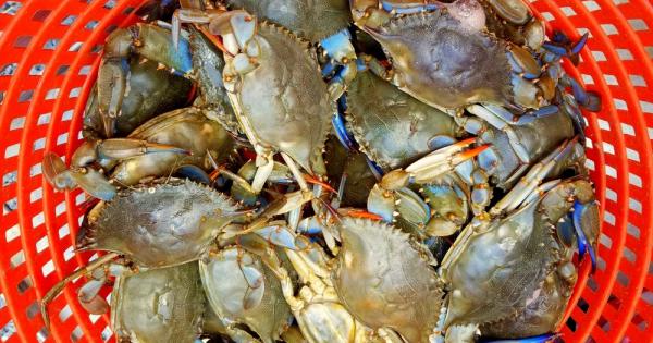Един продавач на раци всеки ден предлагал стоката си на
