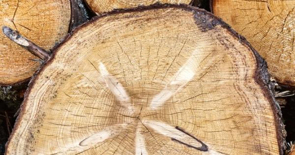 Биоразнообразието на територията на Европейския съюз продължава да намалява с