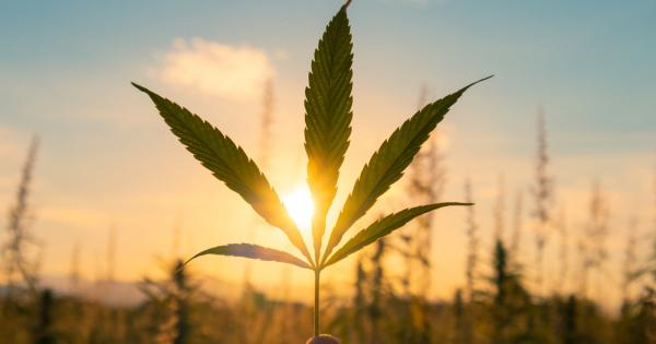 Мексиканският президент Андрес Мануел Лопес Обрадор заяви днес че ще