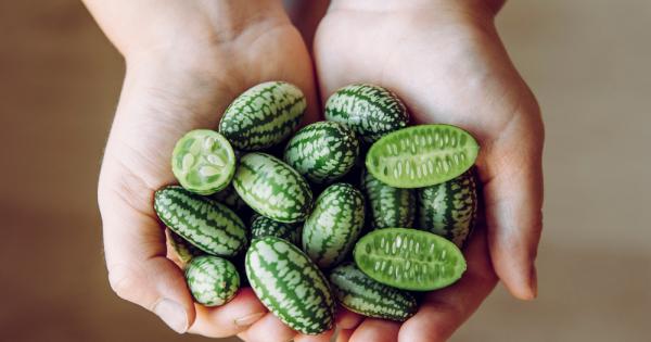 За да се справят с предизвикателствата породени от изменението на