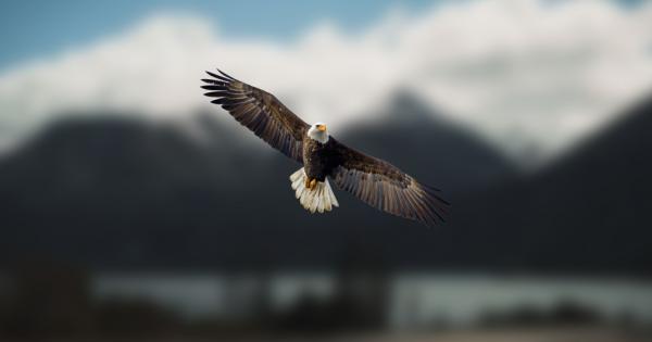 Има една древна легенда в която се разказва за двама