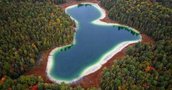 Кислородът е необходимост а не въпрос на избор за повечето